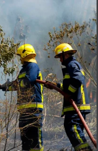 illustrative image for news of Future Forces Forum