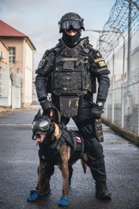 illustrative image for news of Future Forces Forum