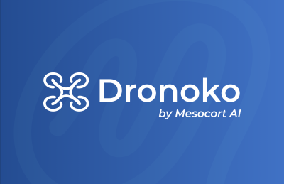 Mesocort AI