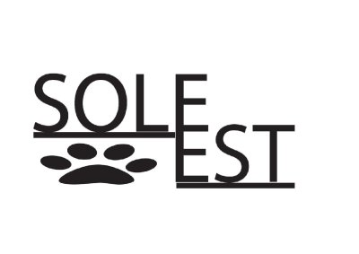 SOLEEST LLC